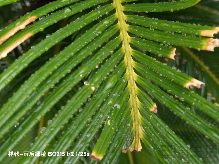 162223113093image26 副本.jpg image26 副本.jpg